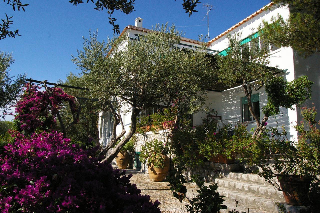 Il Rifugio B&B Capri Anacapri Kültér fotó