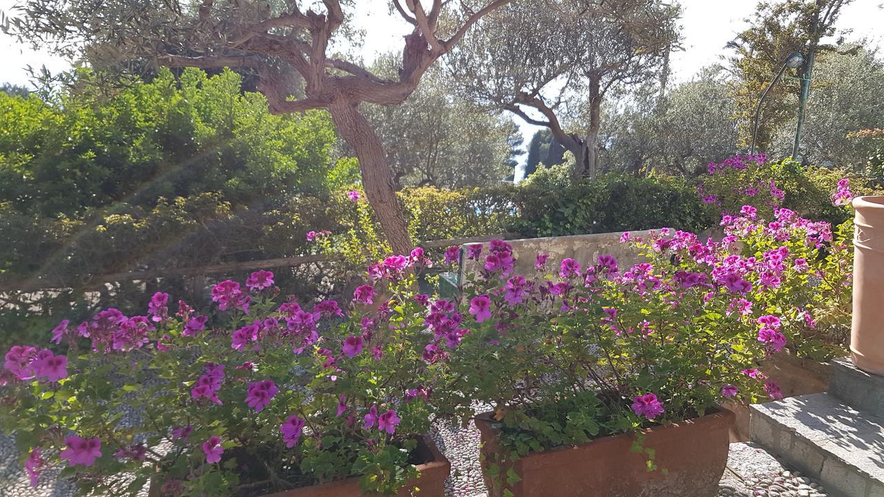 Il Rifugio B&B Capri Anacapri Kültér fotó